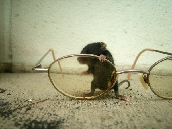 Подборка картинок 02.03.16