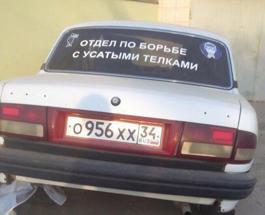 Ужасы и приколы из соцсетей 18+