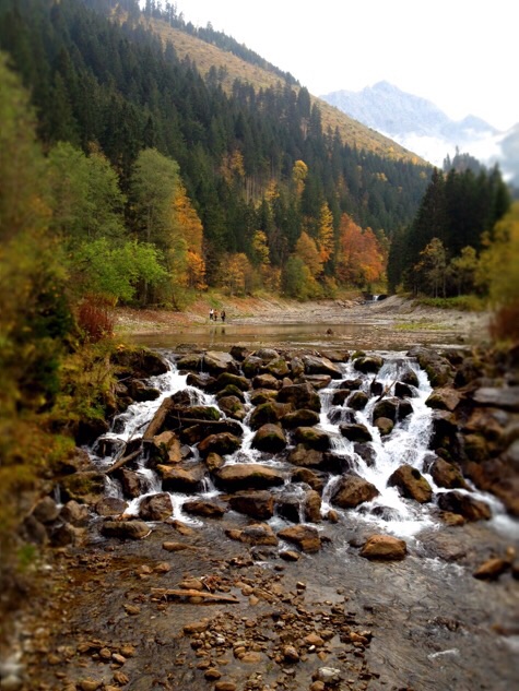 Картинки из сети