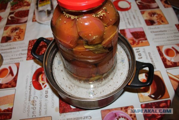 Скумбрия малосольная