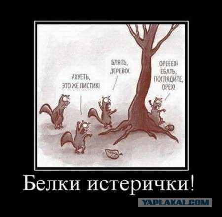 Весёлые картинки