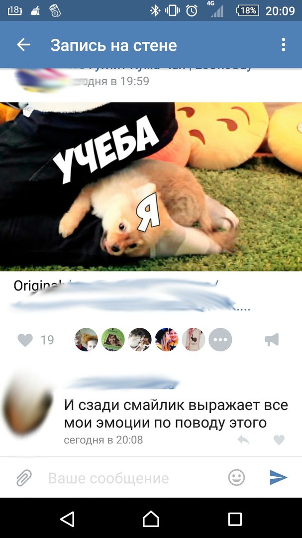 Ужасы и приколы из соцсетей 18+