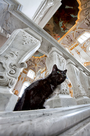 Подборка интересных и веселых фото