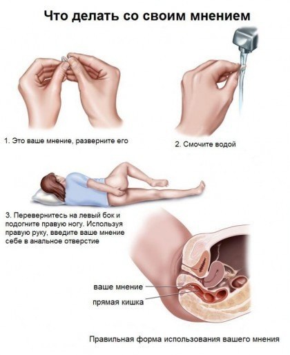 ЯП объединяет