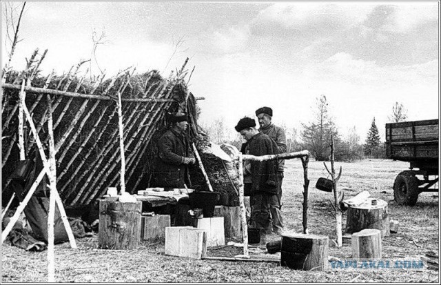 Ретро-ассорти