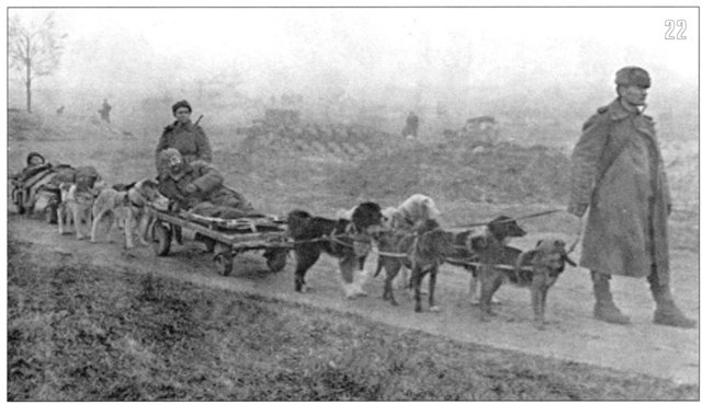 Фотографии к "Нахальному минированию" и "Лехе"