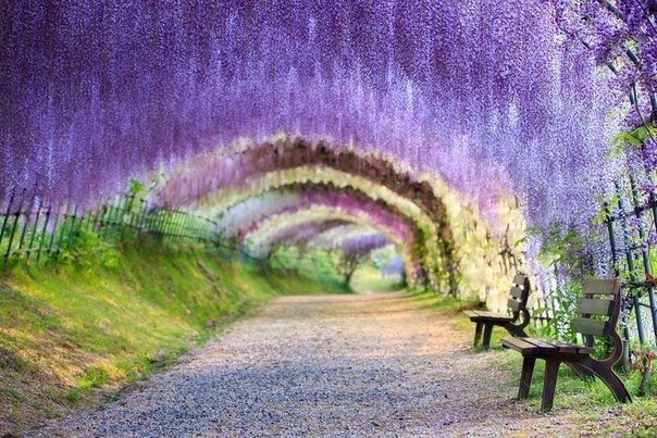 Моменты, запечатлённые на фото и просто позитив 5