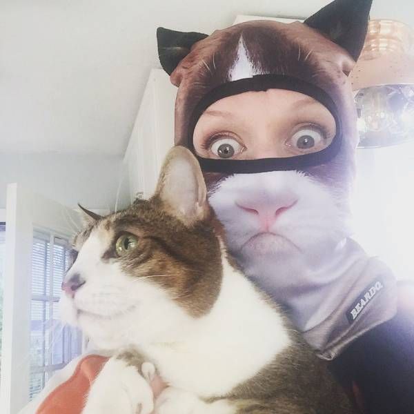 Коты и Кошки