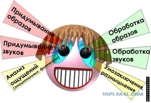 Кому и почему дают женщины