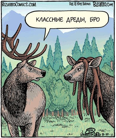 Веселые картинки