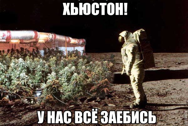 Прикольные картинки 04.06.2017