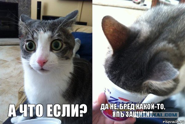 ЦОДД наехал на ЯП