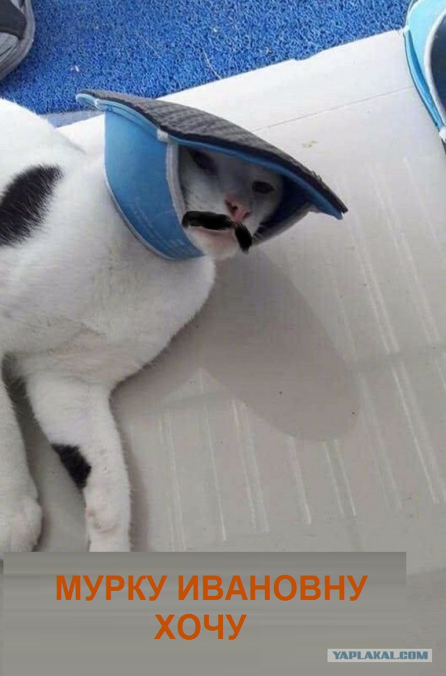 Юмор, который запретили на Деграклассниках