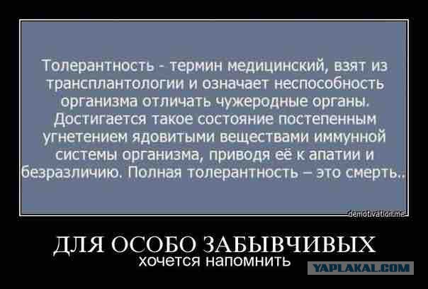 ЛГБТ пропаганда в детском саду?