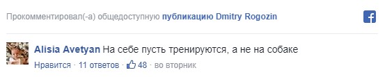 "Утопивший" в бочке таксу Рогозин взбесил россиян