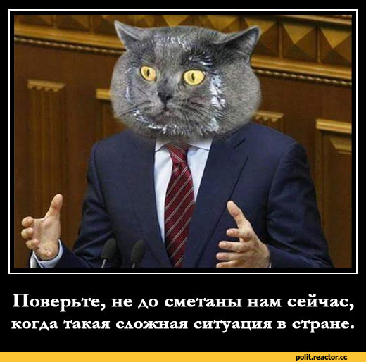 Ты здоровая женщина – иди работать!