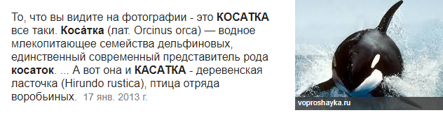 25 животных, которые могут запросто убить человека