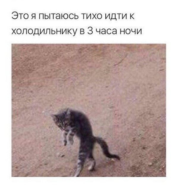 Немного милоты