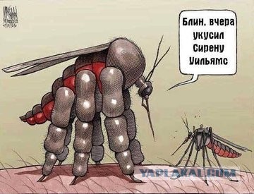 Коротко о спорте