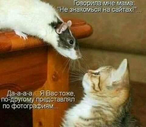 Не очень адекватный юмор