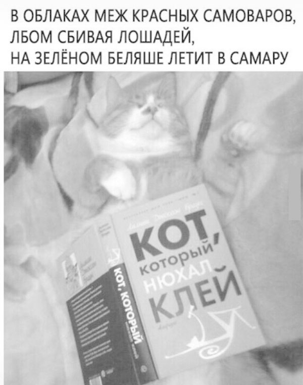 Подборка картинок