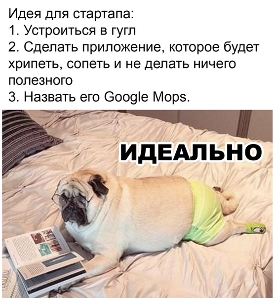 Немного картинок для настроения 08.08.20