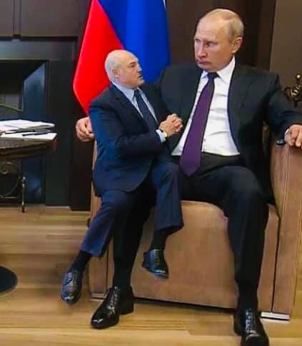 Фотки и картинки: юморные и красивые, забавные и милые 14.09.20