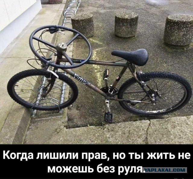 Юмор в картинках 20.09.20