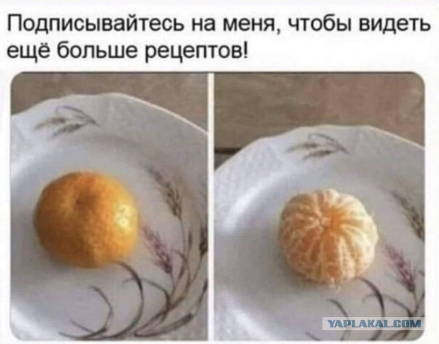 Бредзона 29.12.2020