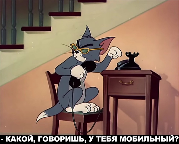 Москвичи кормят своих животных лучше, чем питаются пенсионеры в провинции: Реакция женщины на рацион леонбергера Мони