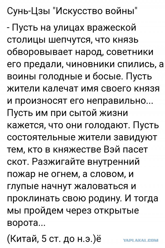 Мой взгляд на протесты