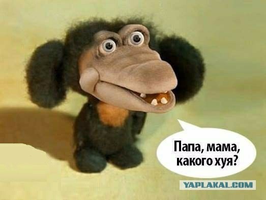 Пятничной деградации пост
