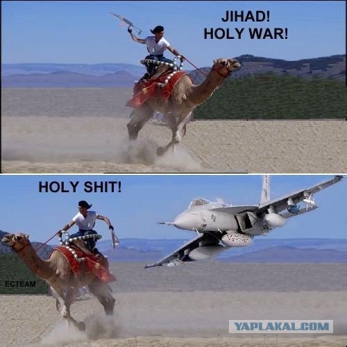 ХАМАС навоевался