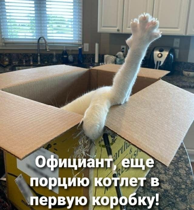 Картинки с надписями и всякие жизненные фразы 6.07.21