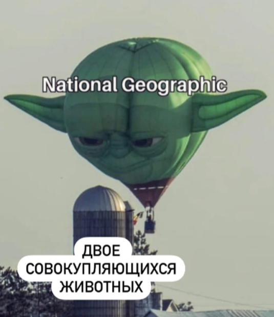 Чуток картинок 11.09.21