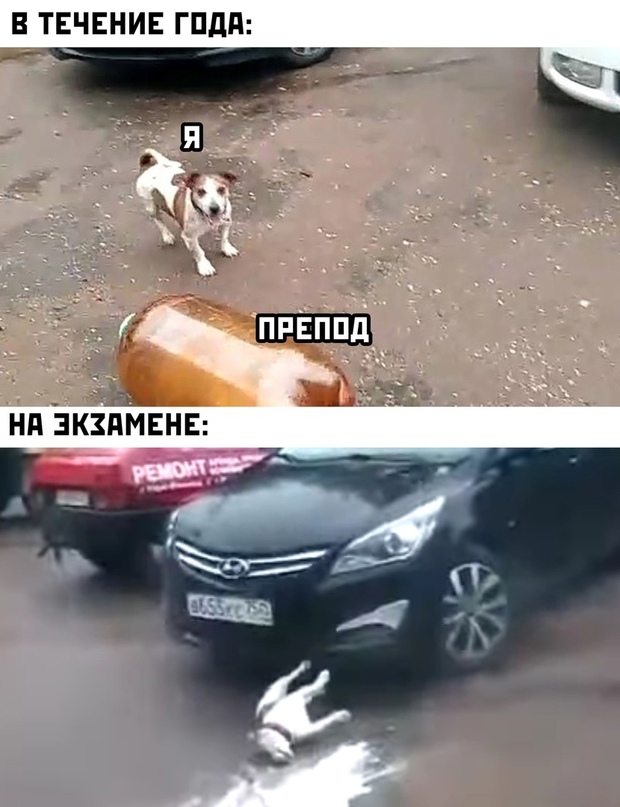 Весёлый полтишок 15.09