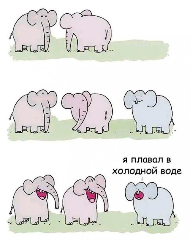 Картинки и мемы для настроения 22.11.2021