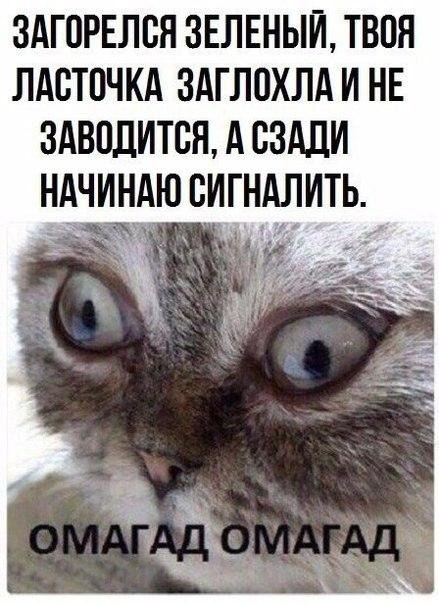 Псс..! Мемов надо?