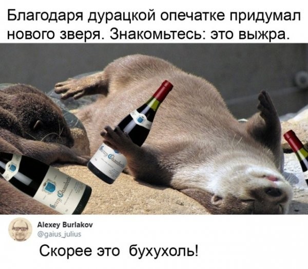 Картинки и мемы из Сети 24.07.22