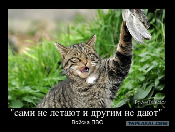 Слава ВДВ!