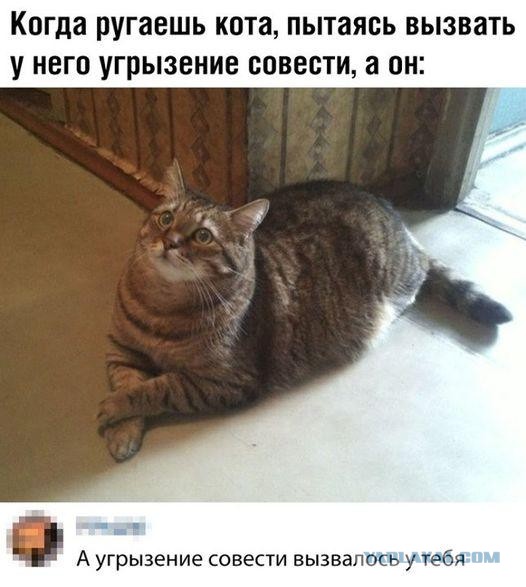 Весёлый полтишок 08.09.22