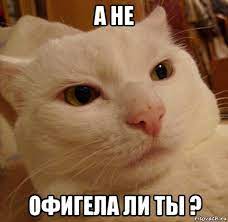 Хочу мастурбировать потому что знаю, что жена не даст сегодня