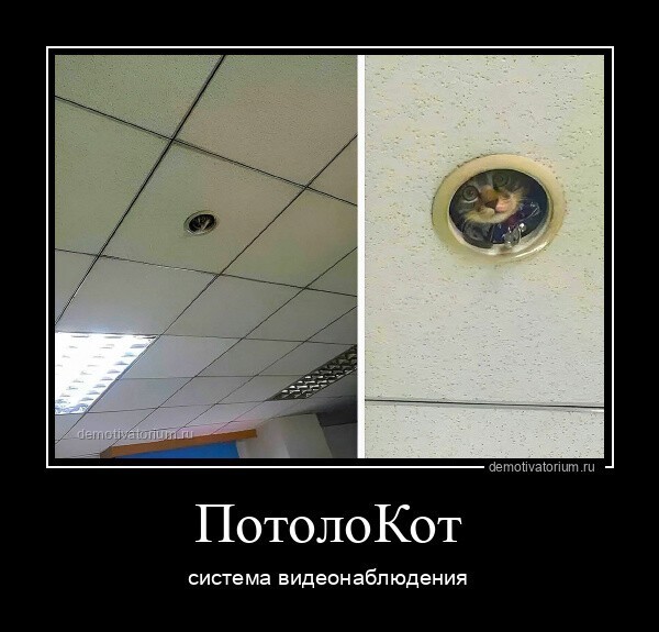 Юмор в картинках и без