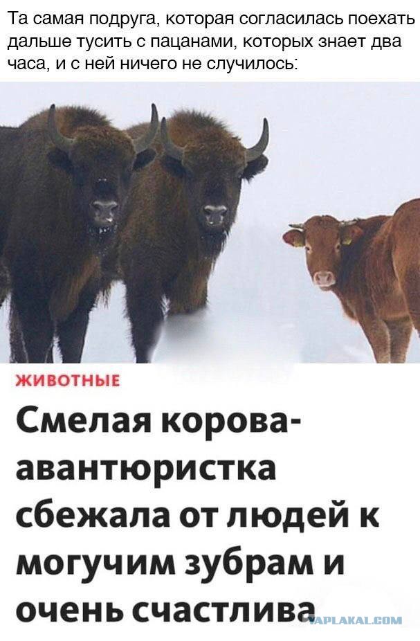 Победная поступь идиотизма по планете.