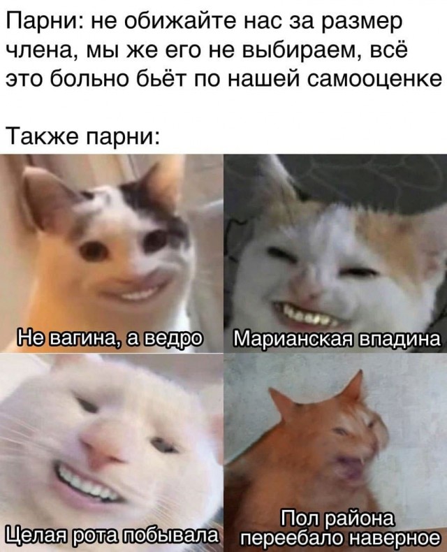 Яповчанки, это правда или фэйк