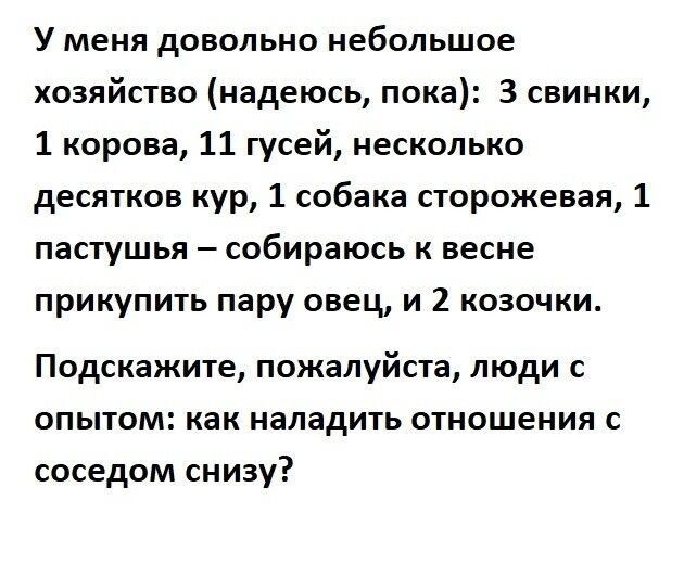 Немного картинок для настроения - 137
