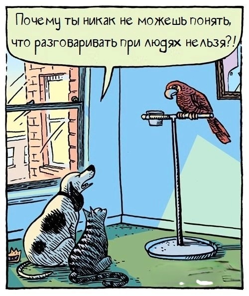 Нуштош 17.07.2023