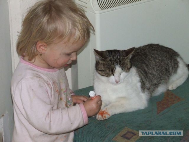 Котовторник 16.04.2013