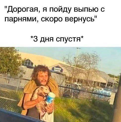 Пикчи-юморески