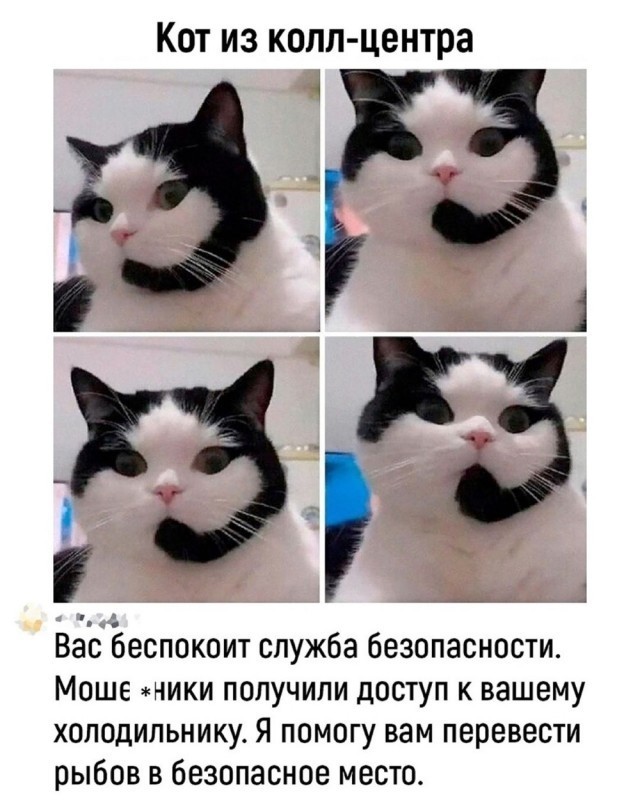 Отряд быстрого деградирования. Номер 20